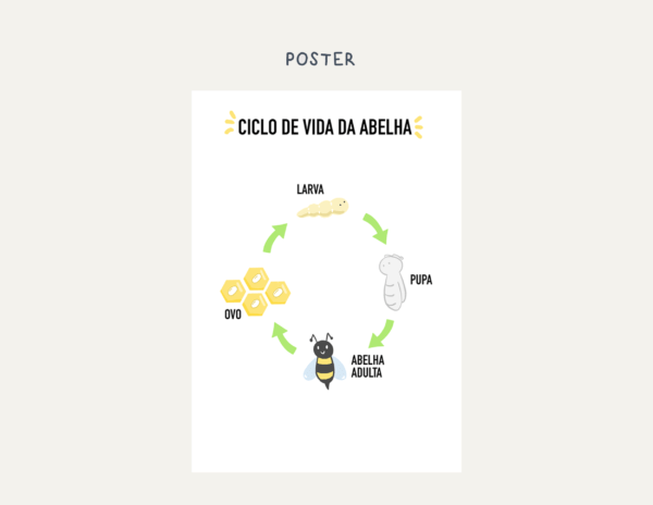 Vida da Abelha Pacote de atividades - Imagem 3