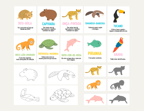 Animais Brasileiros