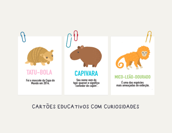 Animais Brasileiros Pacote de atividades - Imagem 5