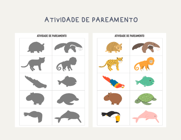 Animais Brasileiros Pacote de atividades - Imagem 2