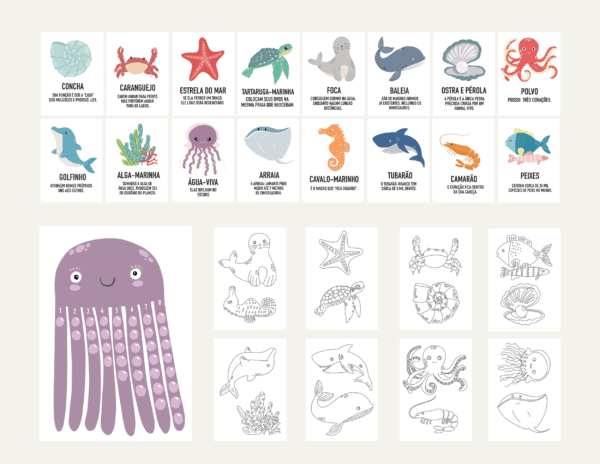 Vida dos animais marinhos