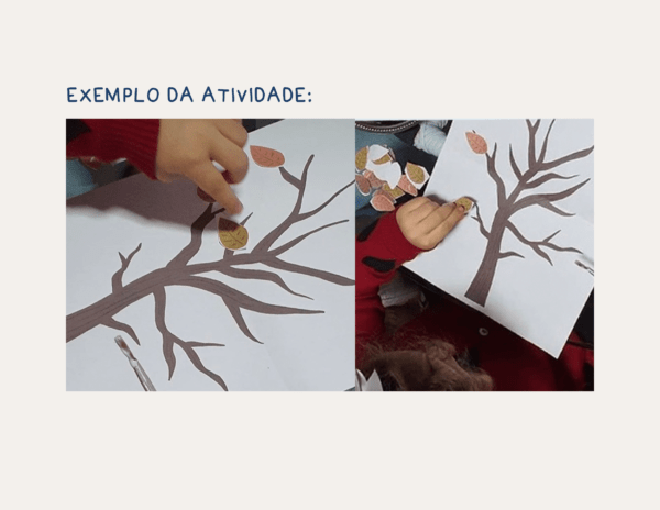 Árvore das Quatro Estações - Imagem 6